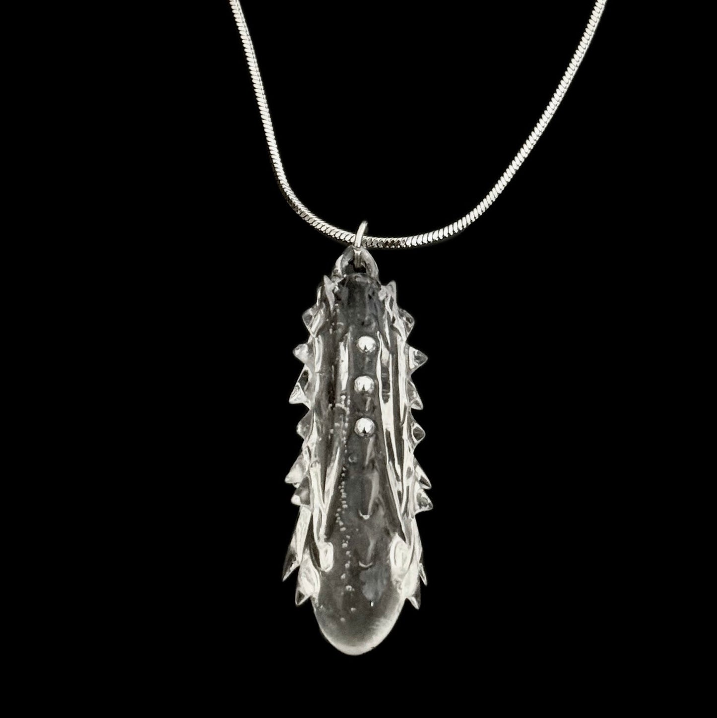 Bacillus necklace