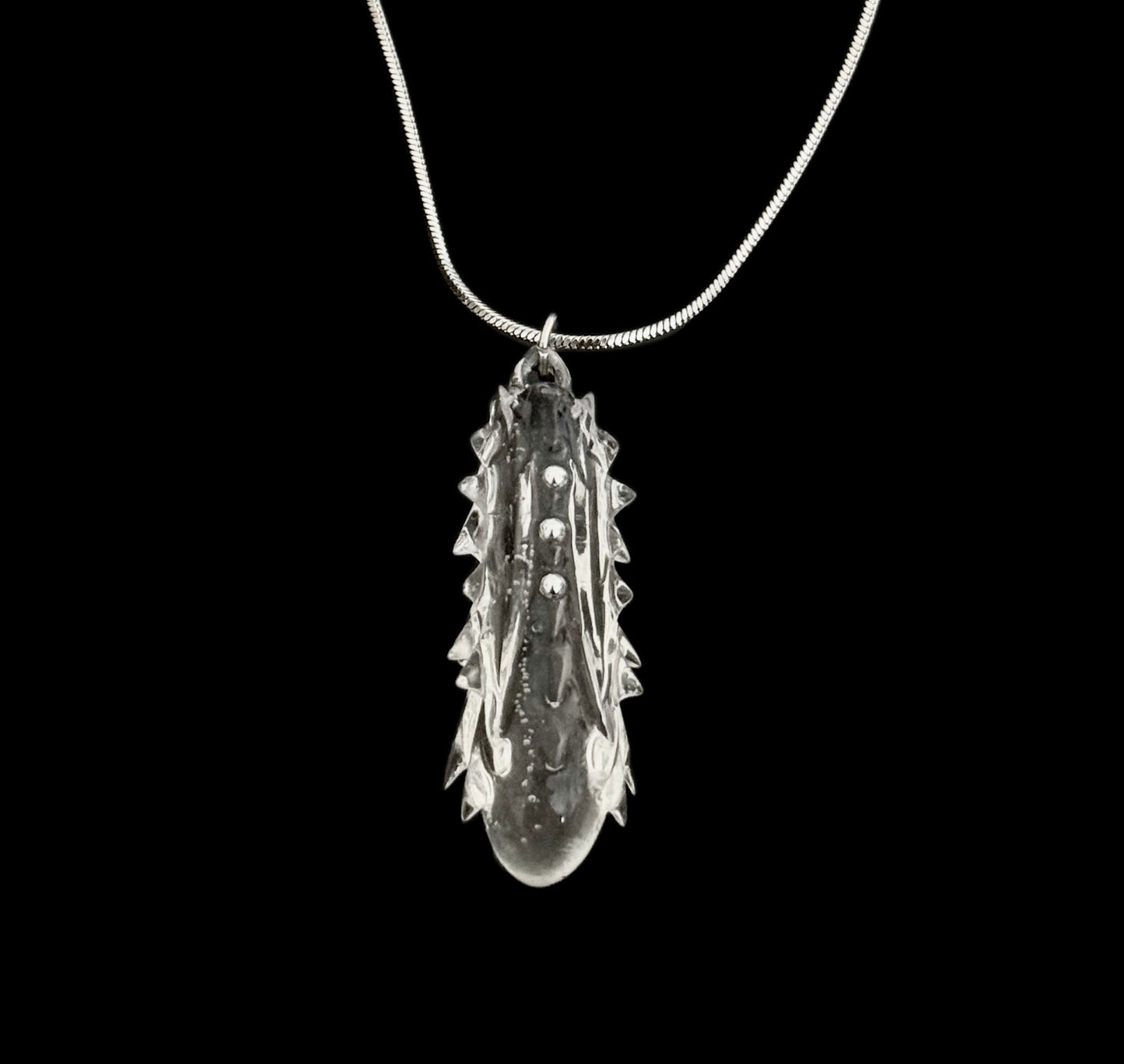 Bacillus necklace